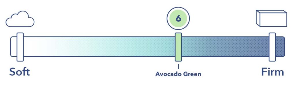 Firmness Avocado Green